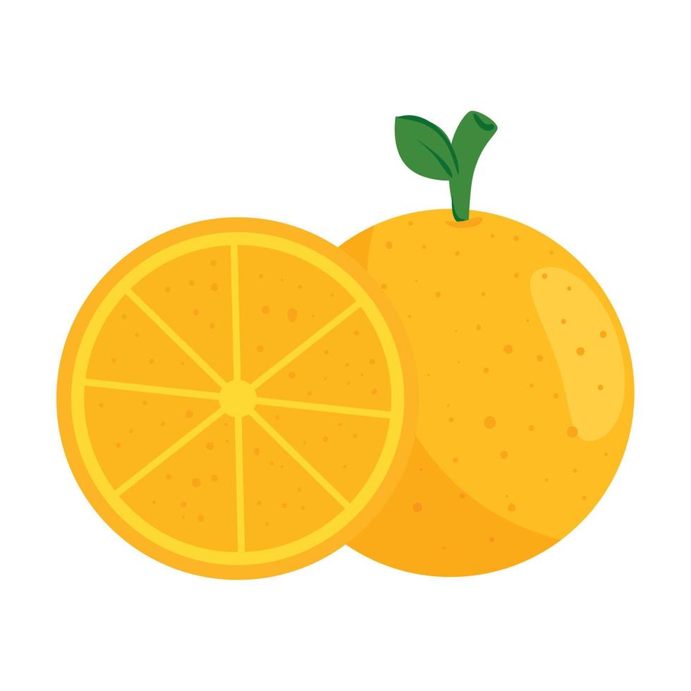 orange and slice fresh fruit, in white background vector