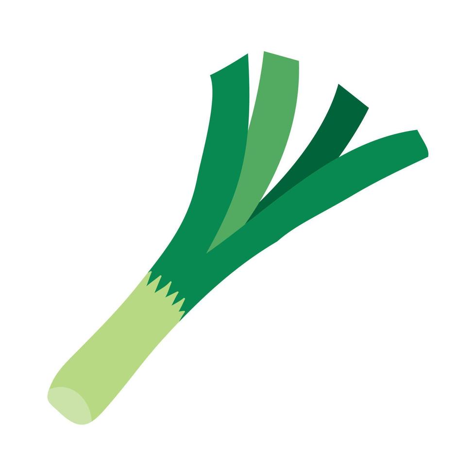 fresh leek vegetable, in white background vector