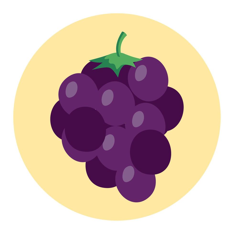 frutas de uvas frescas en marco redondo, en fondo blanco vector