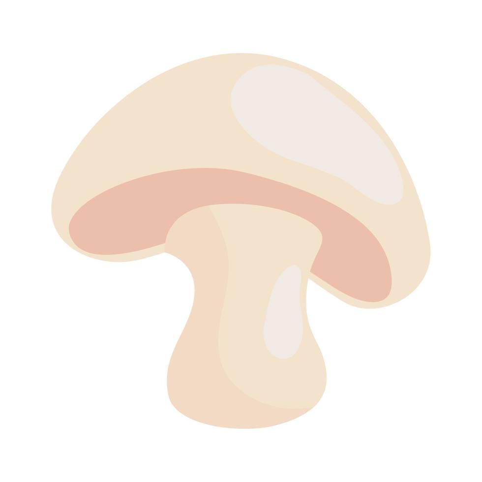 fresh mushroom vegetable, in white background vector