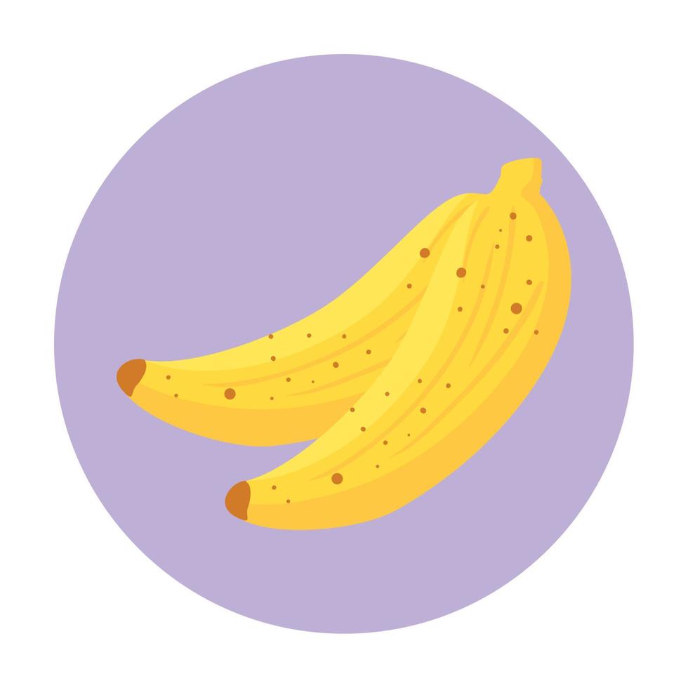 fruta fresca de plátanos en marco redondo, en fondo blanco vector