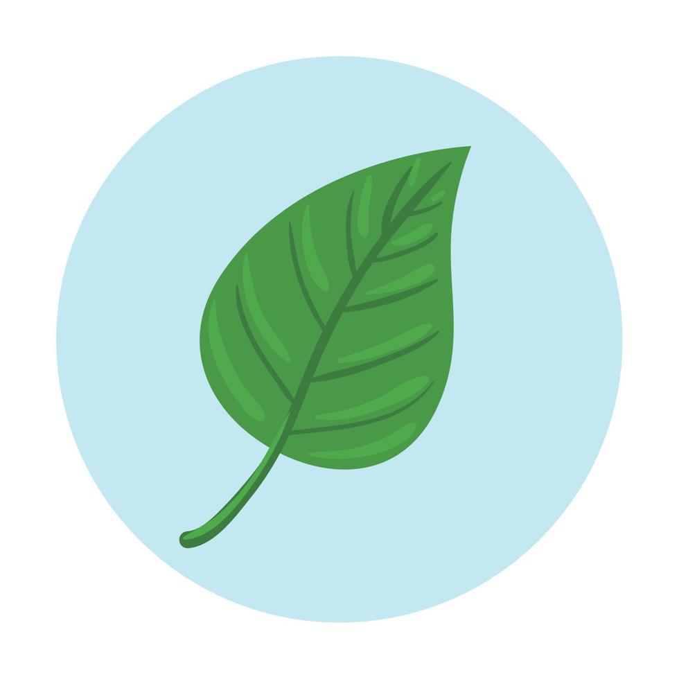 leaf nature ecology on round frame, in white background vector