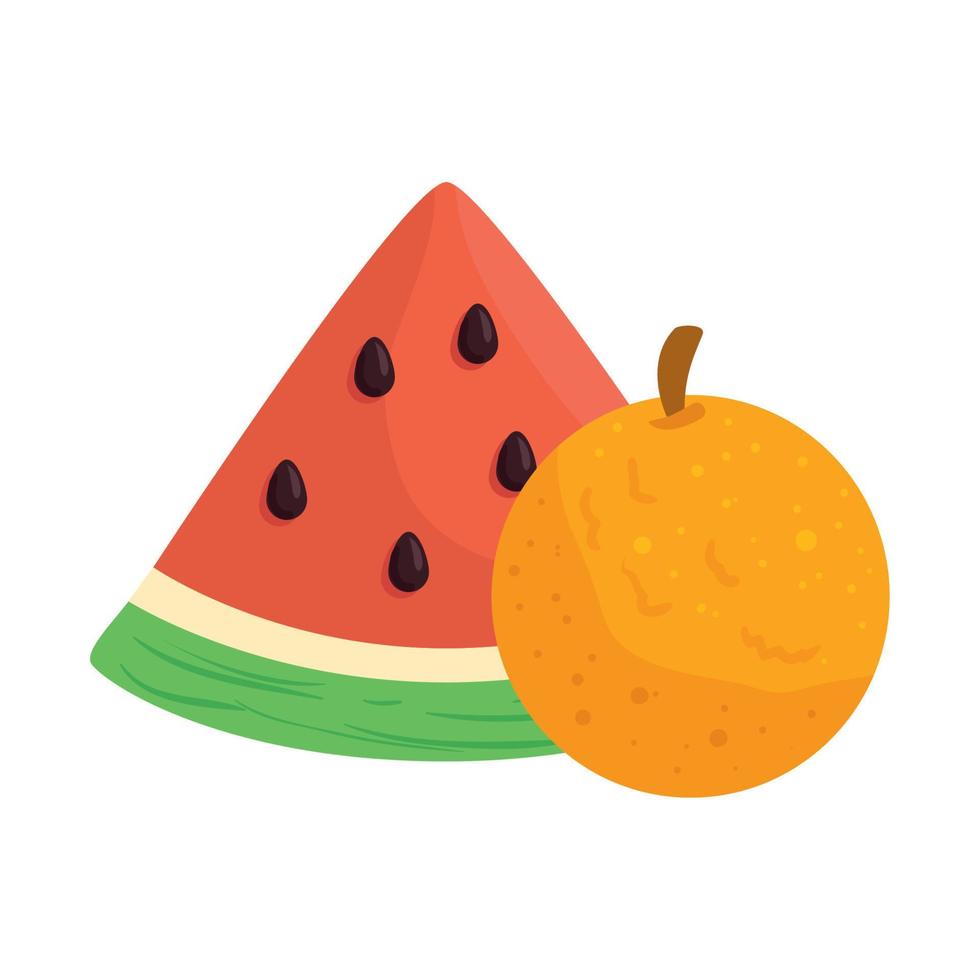 fresh fruits, slice of watermelon with orange vector