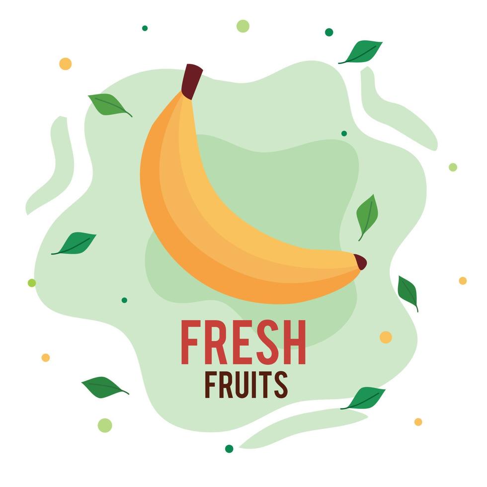 fruta de plátano fresca y saludable vector