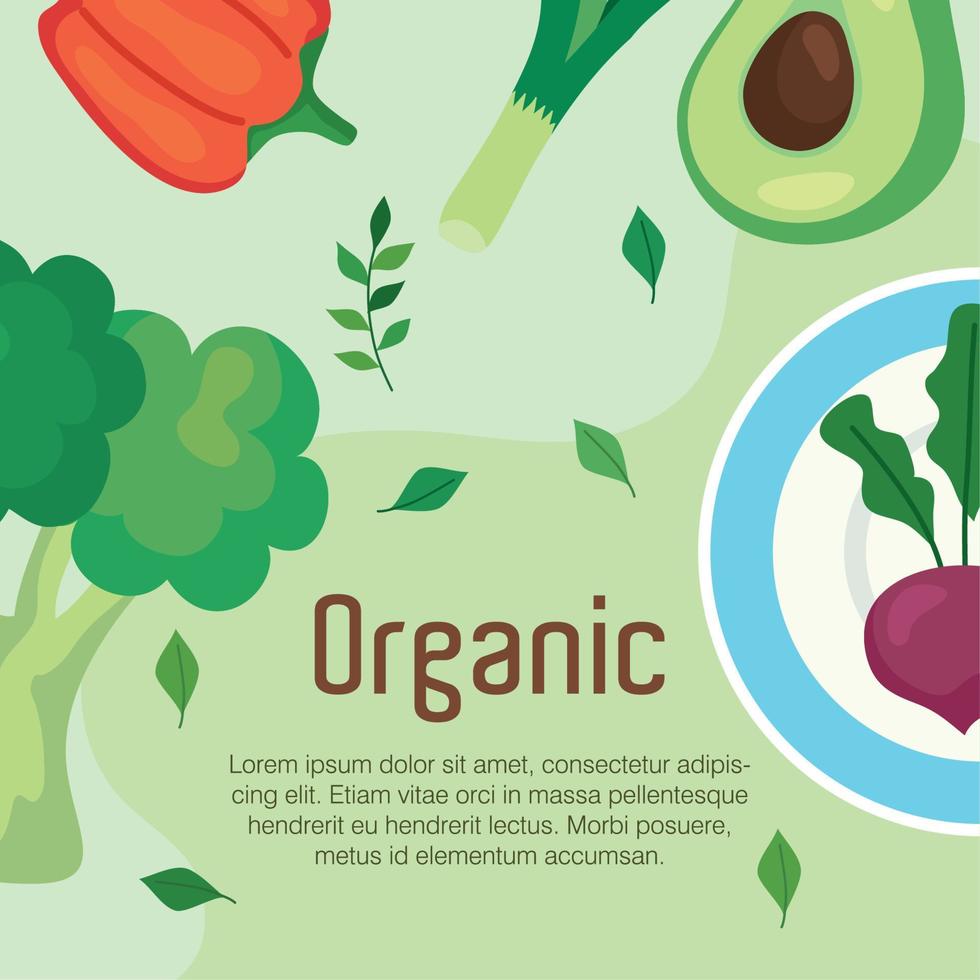 banner con verduras orgánicas, concepto de alimentos saludables vector