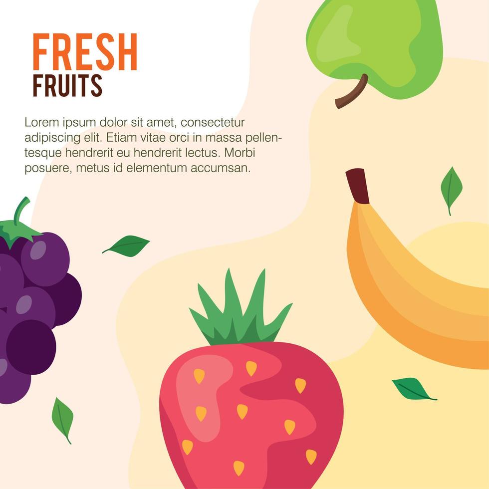 banner with banana and fresh fruits vector