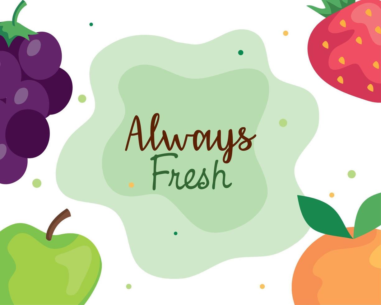 banner siempre fresco, con frutas saludables vector