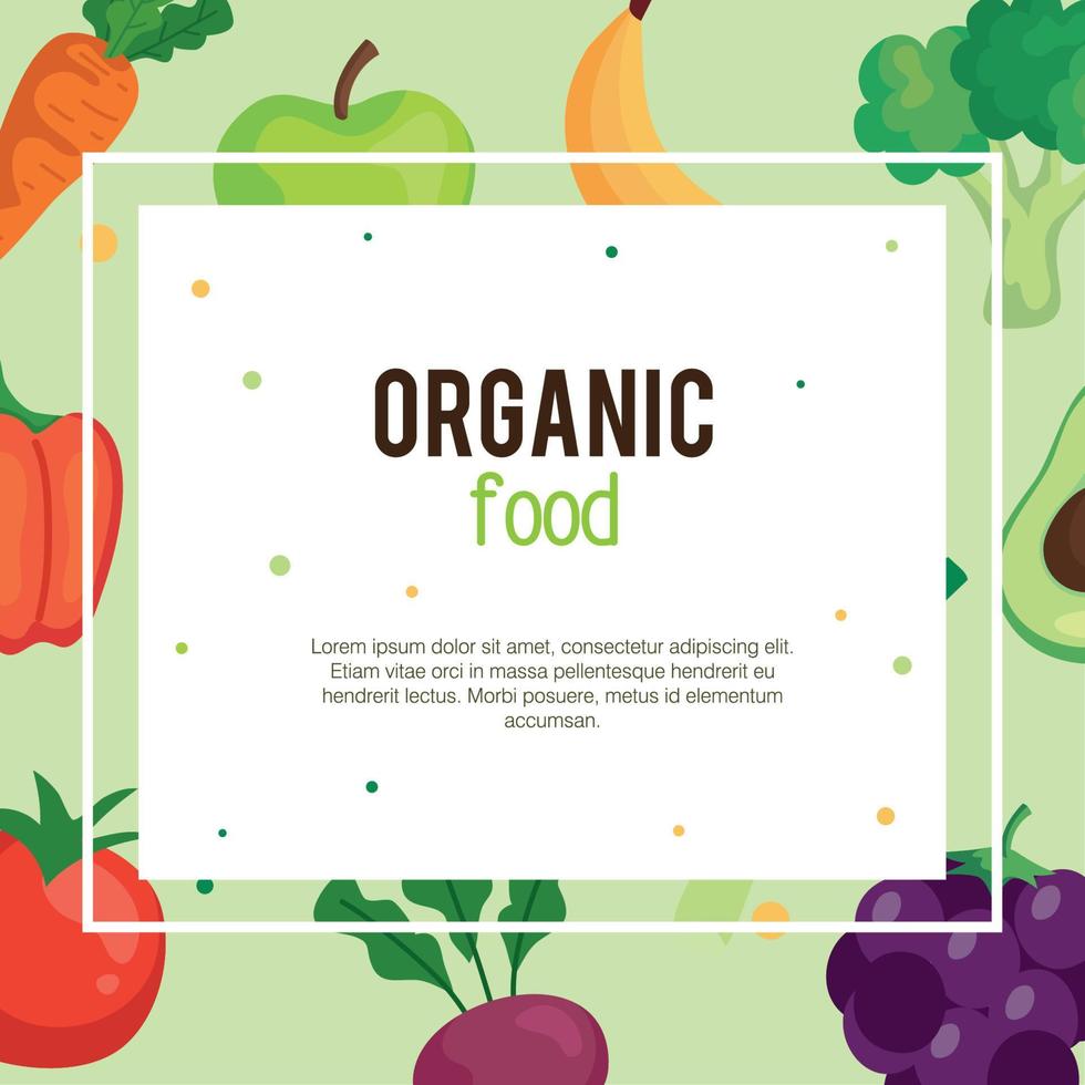 banner with organic food vegetables, concept healthy food vector