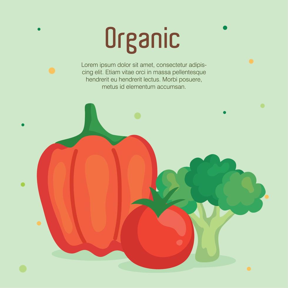 banner with vegetables organic, concept healthy food vector