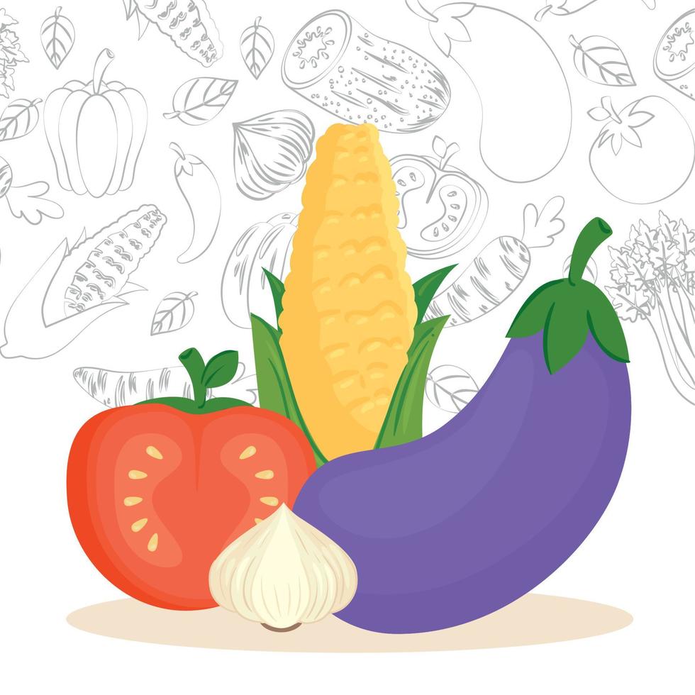 fresh vegetables, eggplant, garlic, tomato and cob corn vector