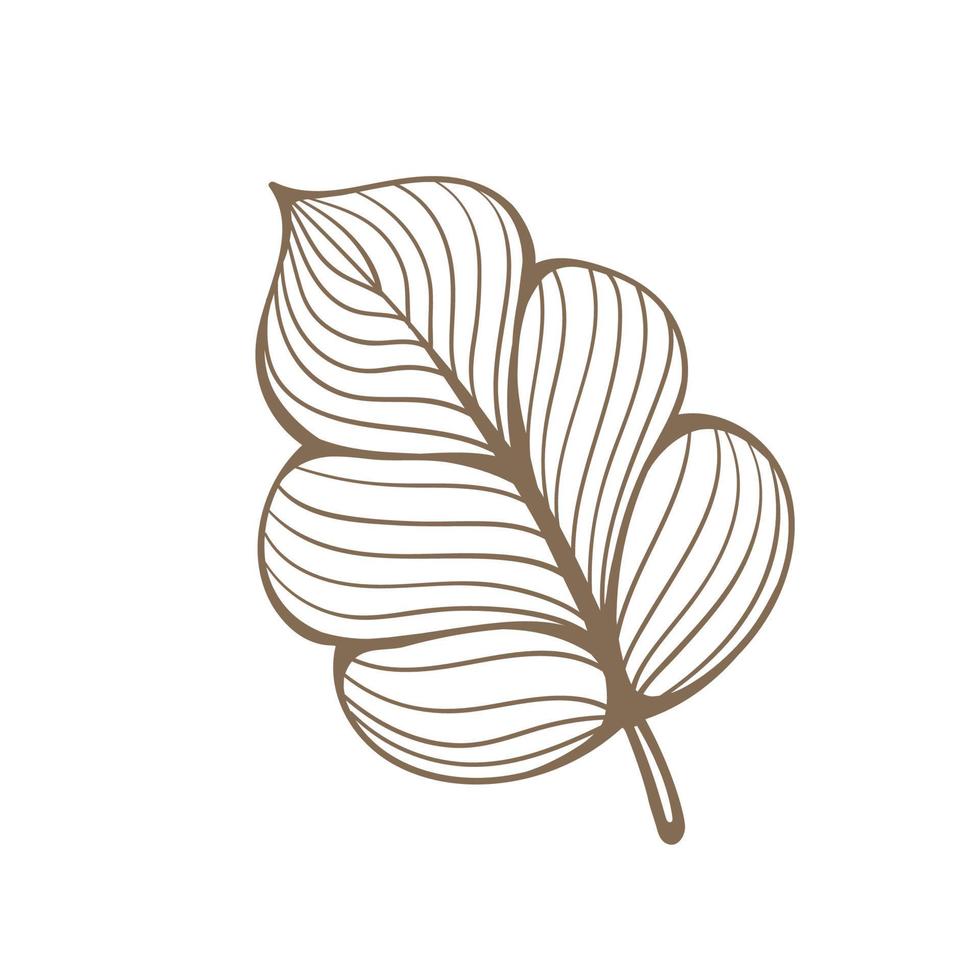 Floral botanical abstract leaf and branches line art doodle. Outline design elements isolated on background, vector illustration