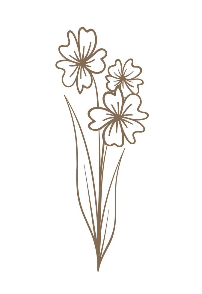 Floral botanical abstract flower line art doodle. Outline design elements isolated on background, vector illustration