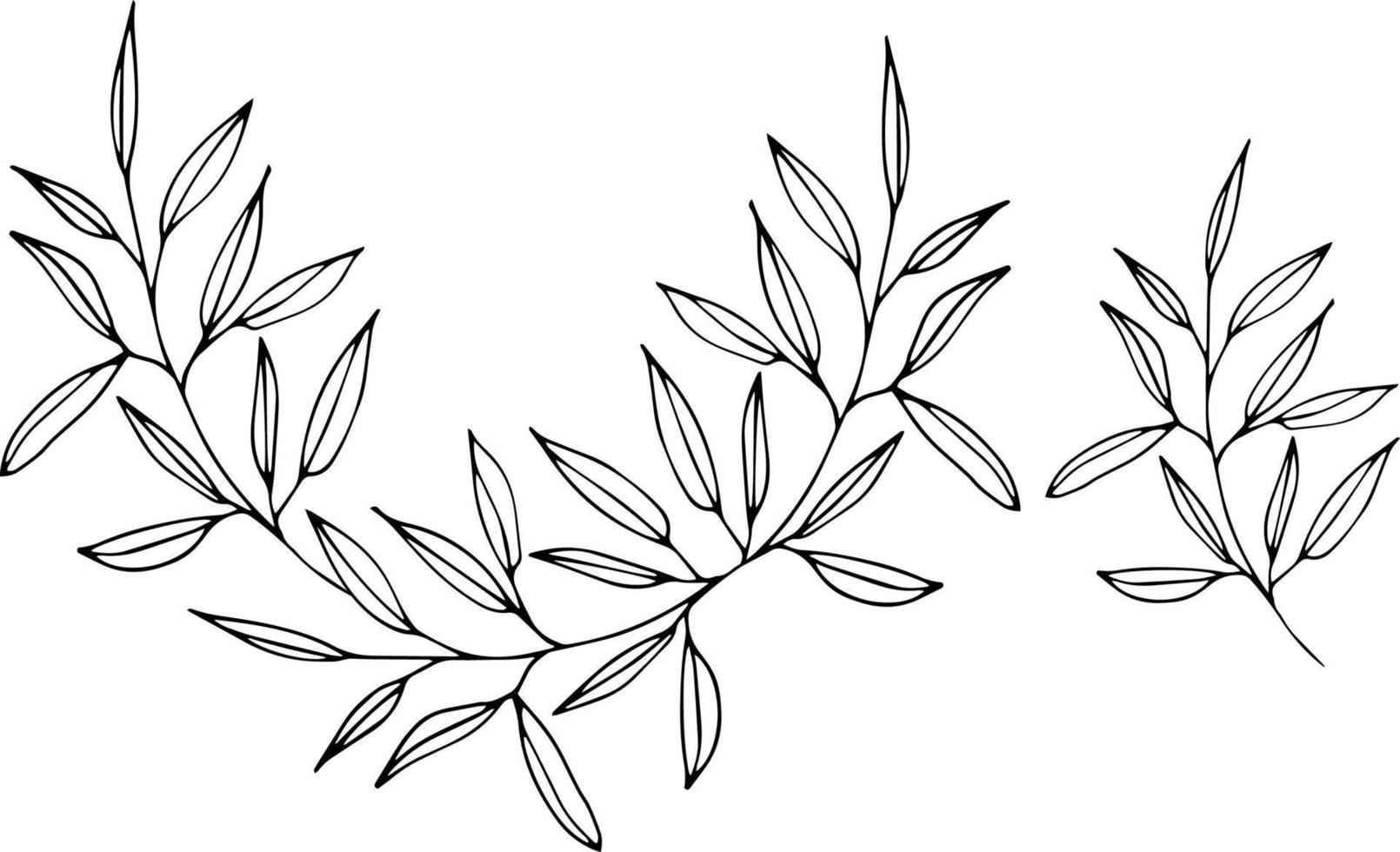 Hand drawing sketching backgrownd with vector black and gray branches with leaves. Vector elements for wedding design, logo design, packaging and other ideas