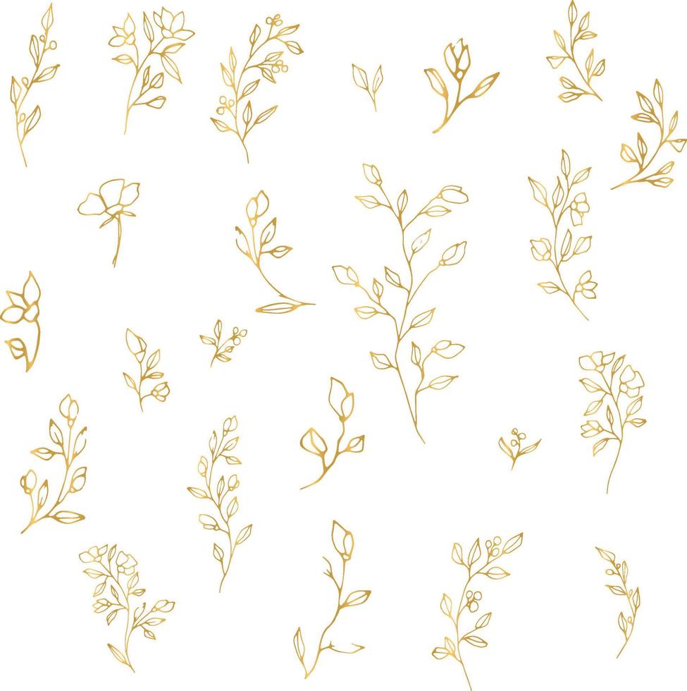 Graphic hand drawing vector plant branches with buds and berries. Vector golden elements for wedding design, logo design, packaging and other ideas