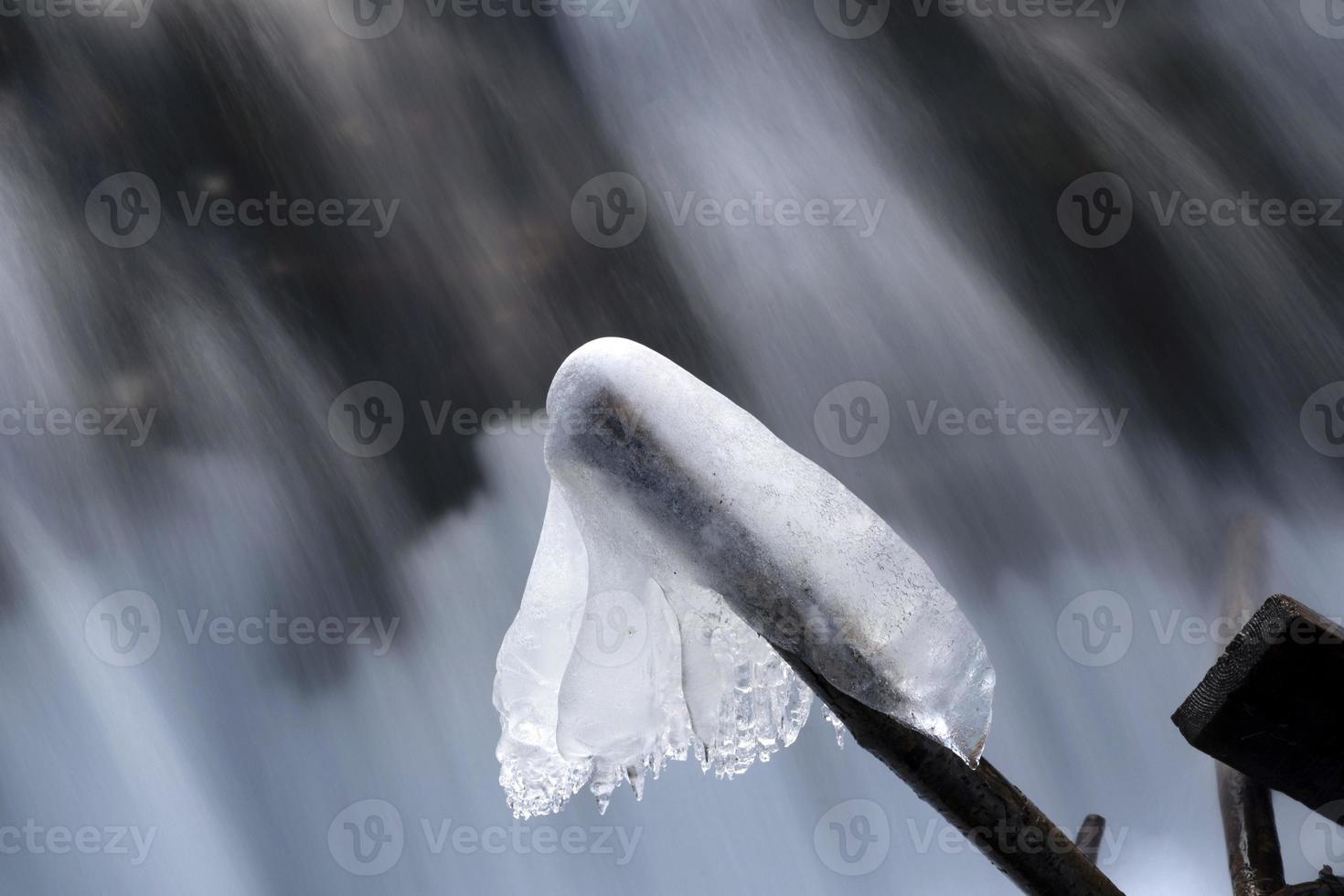 icicles frozen ice on grass lake photo