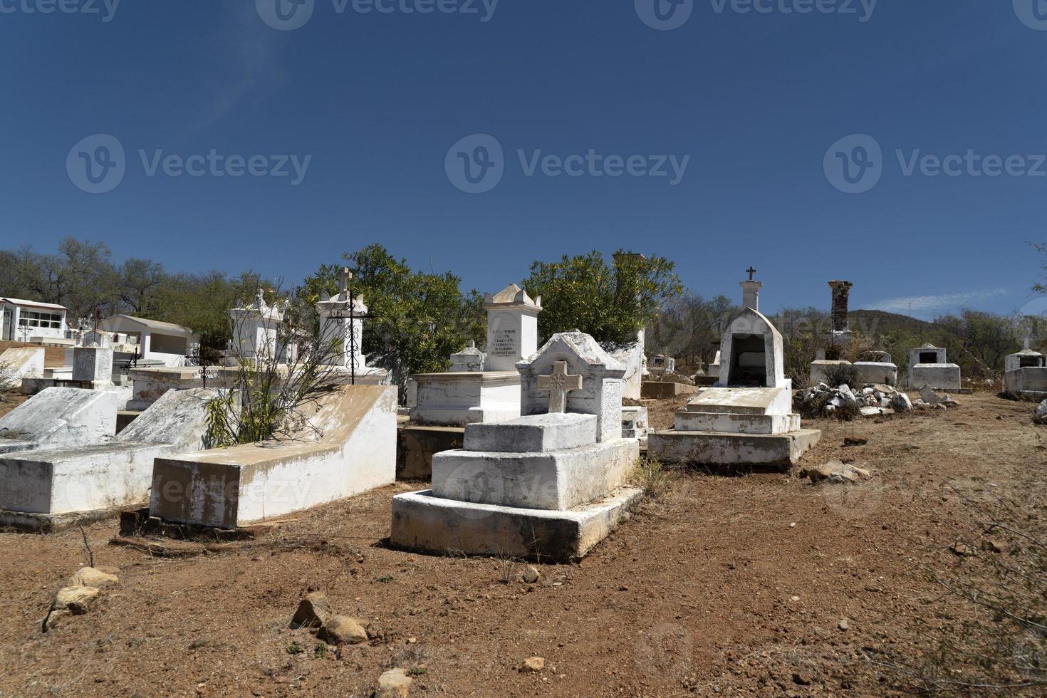 old mexican graveyard in el triunfo mining village baja california sur photo