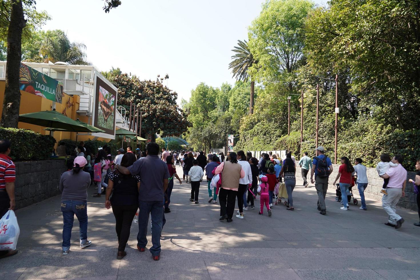 MEXICO CITY, FEBRUARY 3 2019 - Town park Chapultepec crowded of people on sunday photo