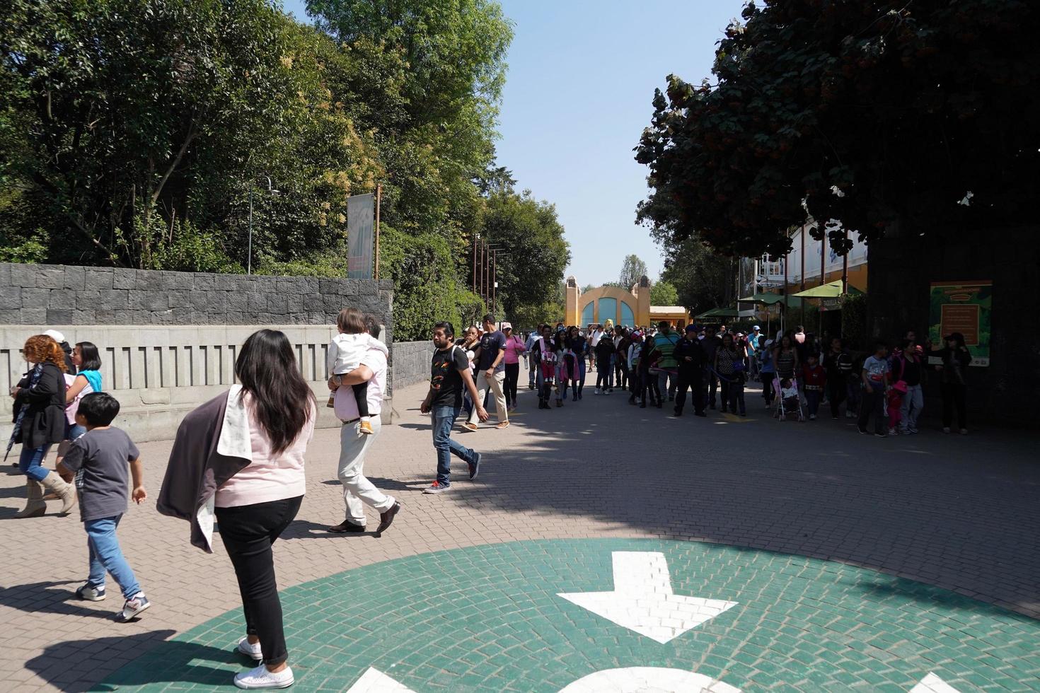 ciudad de méxico, 3 de febrero de 2019 - parque de la ciudad de chapultepec lleno de gente el domingo foto