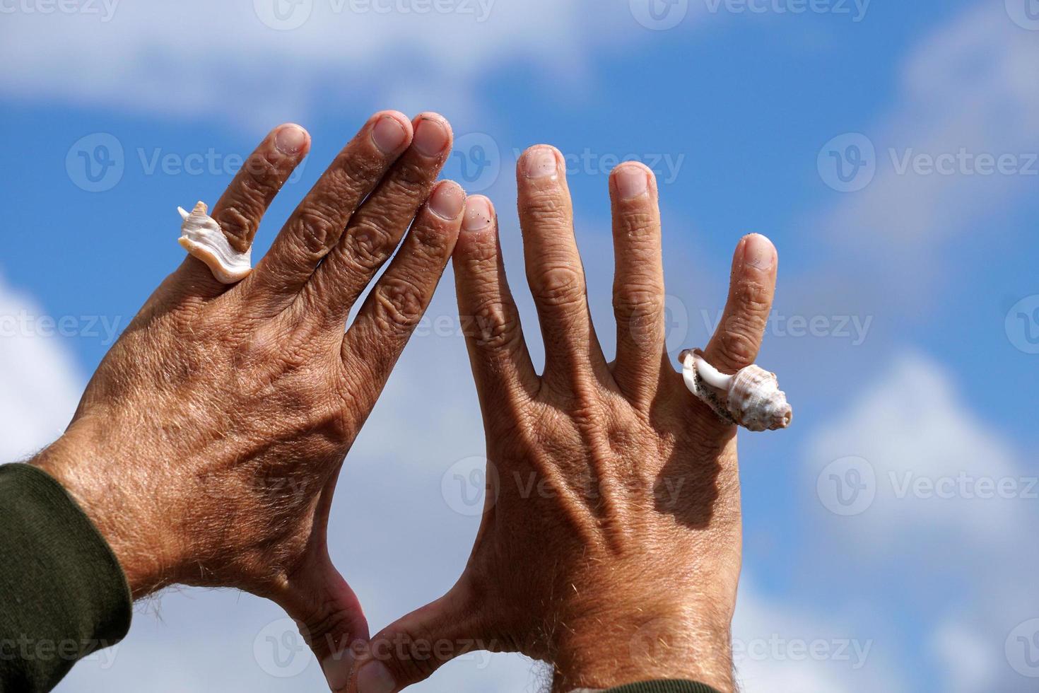 Hand with a shell like a ring photo