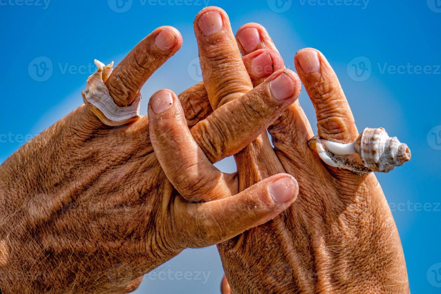 mano con una concha en el cielo foto