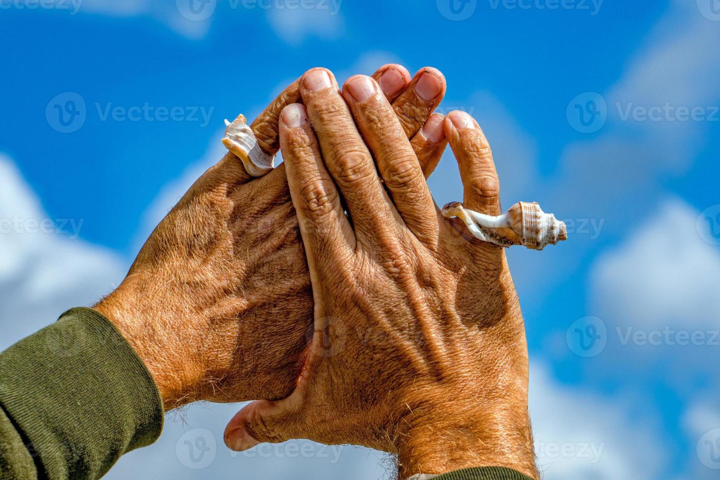 Hand with a shell in the sky photo