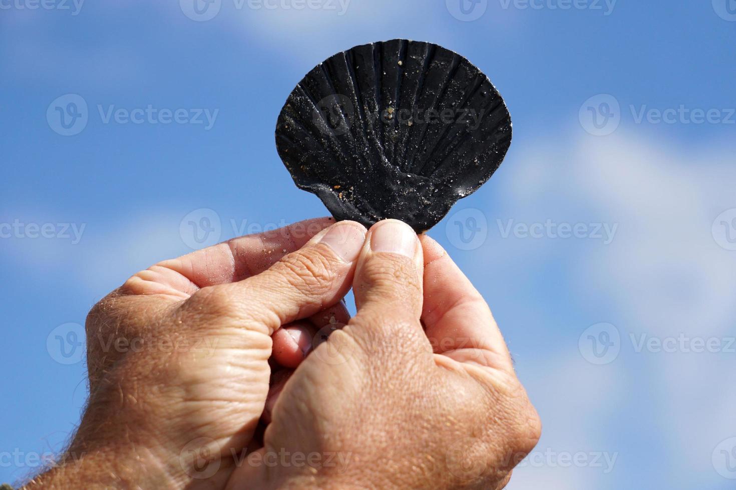 Hand with a shell in the sky photo