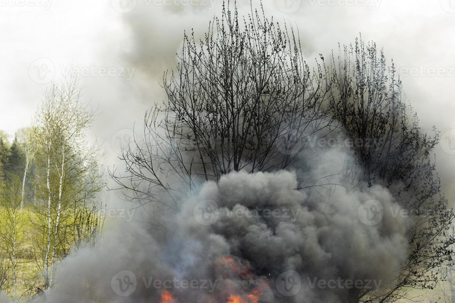 humo negro del fuego. quema de basura. destrucción de la naturaleza. desastre ambiental. foto