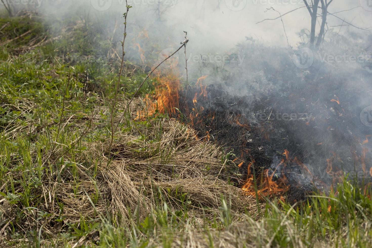 Black smoke from fire. Burning of garbage. Destruction of nature. Environmental disaster. photo