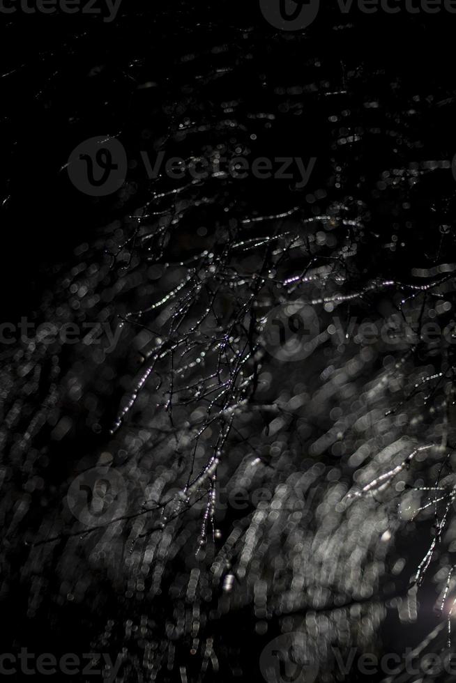 Icy tree branches on black background. Ice on branches at night. Dark texture. photo