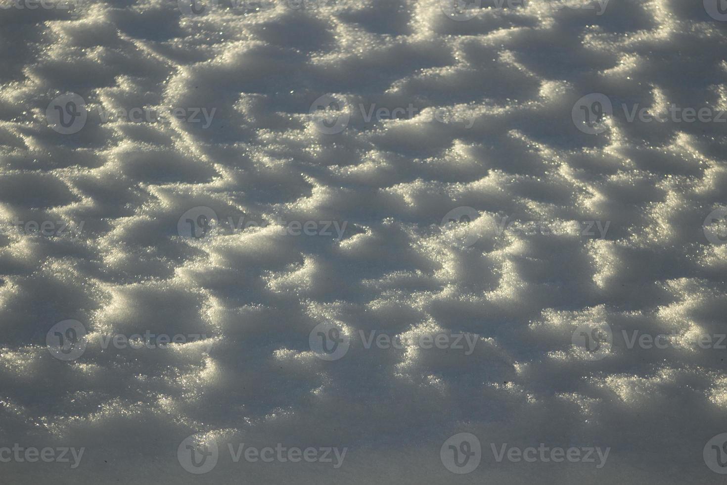 Snowy texture. Details of winter. Snowy field. photo