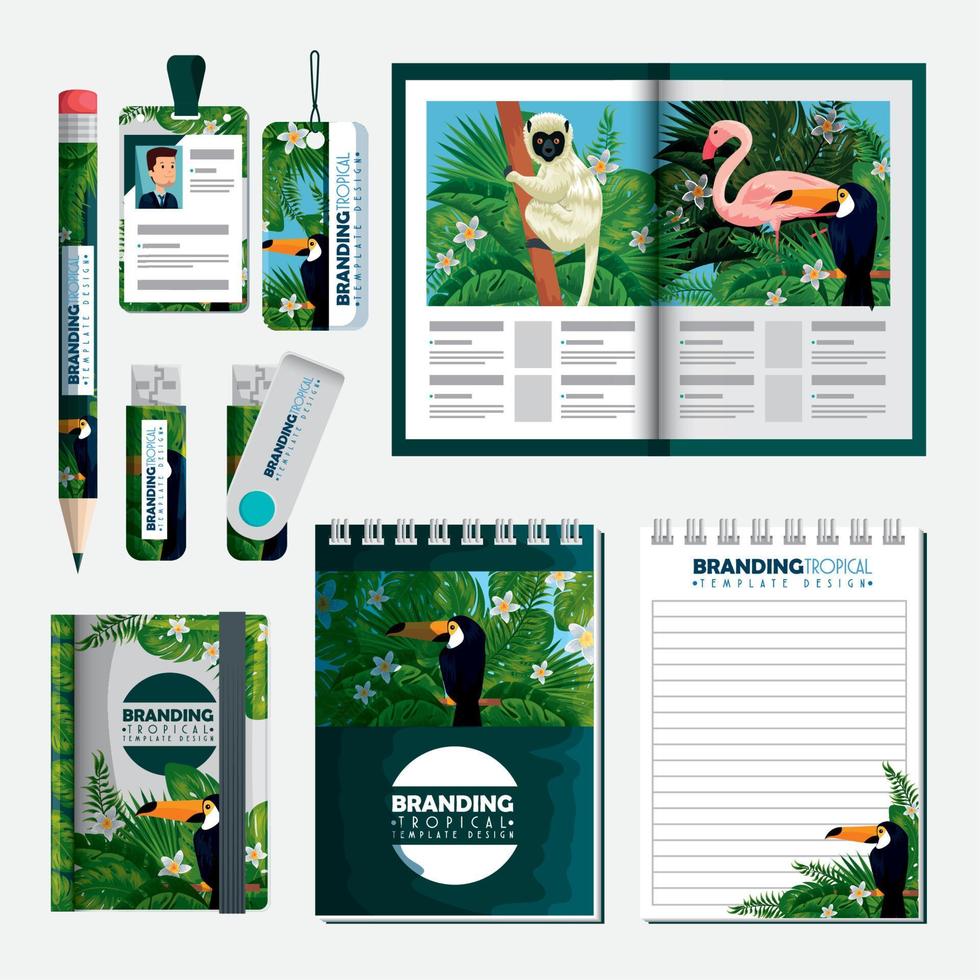 conjunto de folleto tropical con cuadernos y memoria usb vector