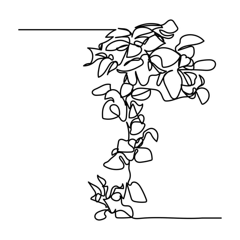 vector illustration of single continuous line ornamental plants