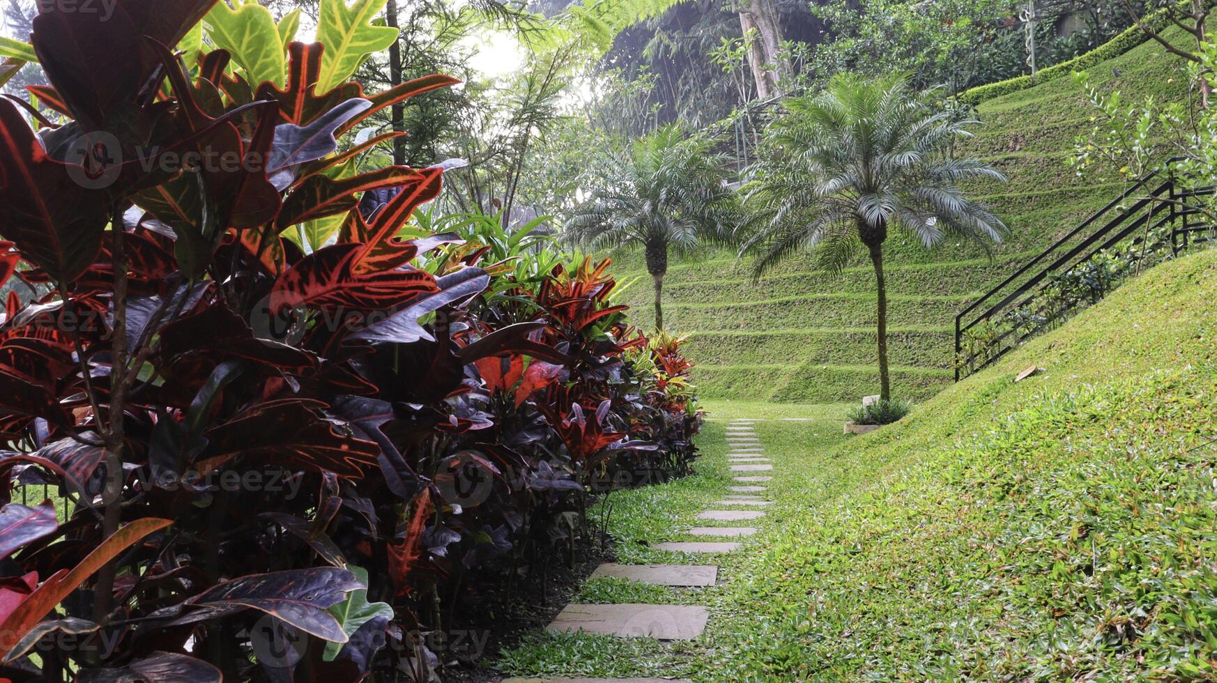 hermoso camino lateral en el parque montañoso con hierba verde y alguna planta ornamental. foto