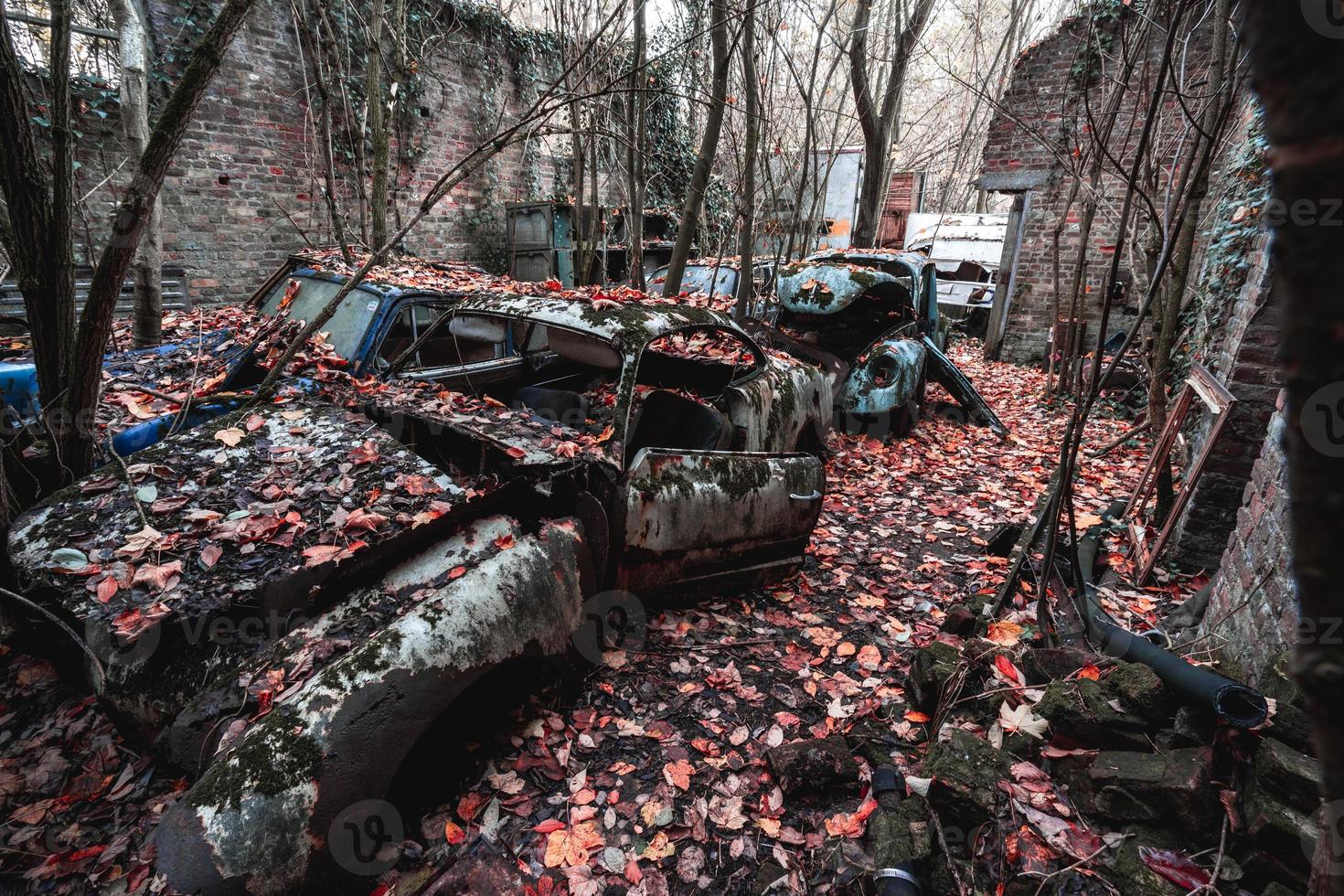 viejos autos abandonados tirados en el bosque en algún lugar de bélgica. foto