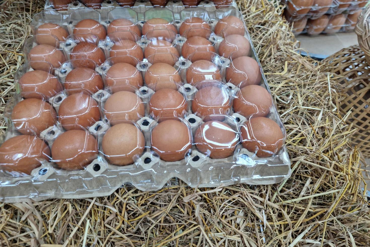 Fresh Eggs in panel. photo
