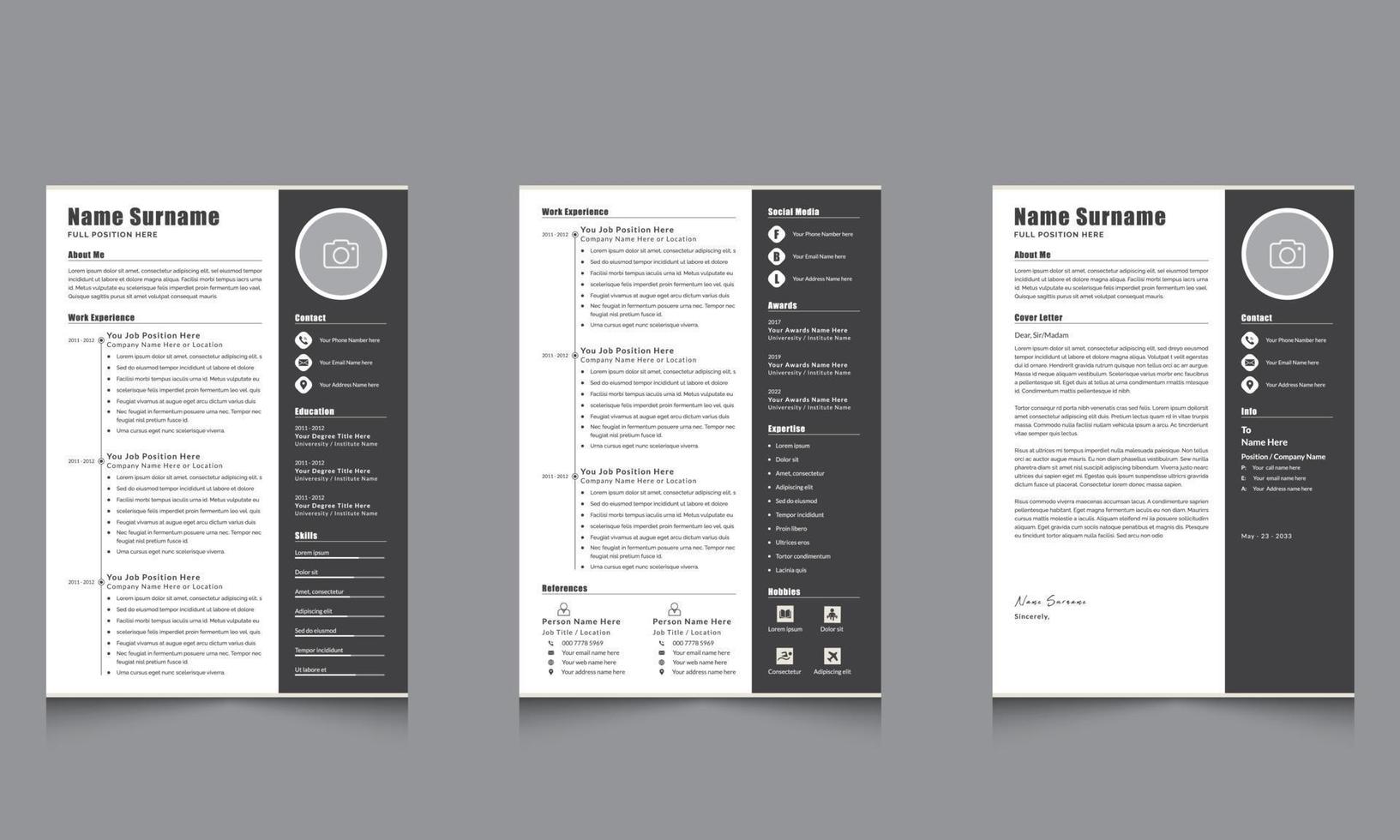 curriculum vitae oscuro cv plantilla diseño vector atractivo