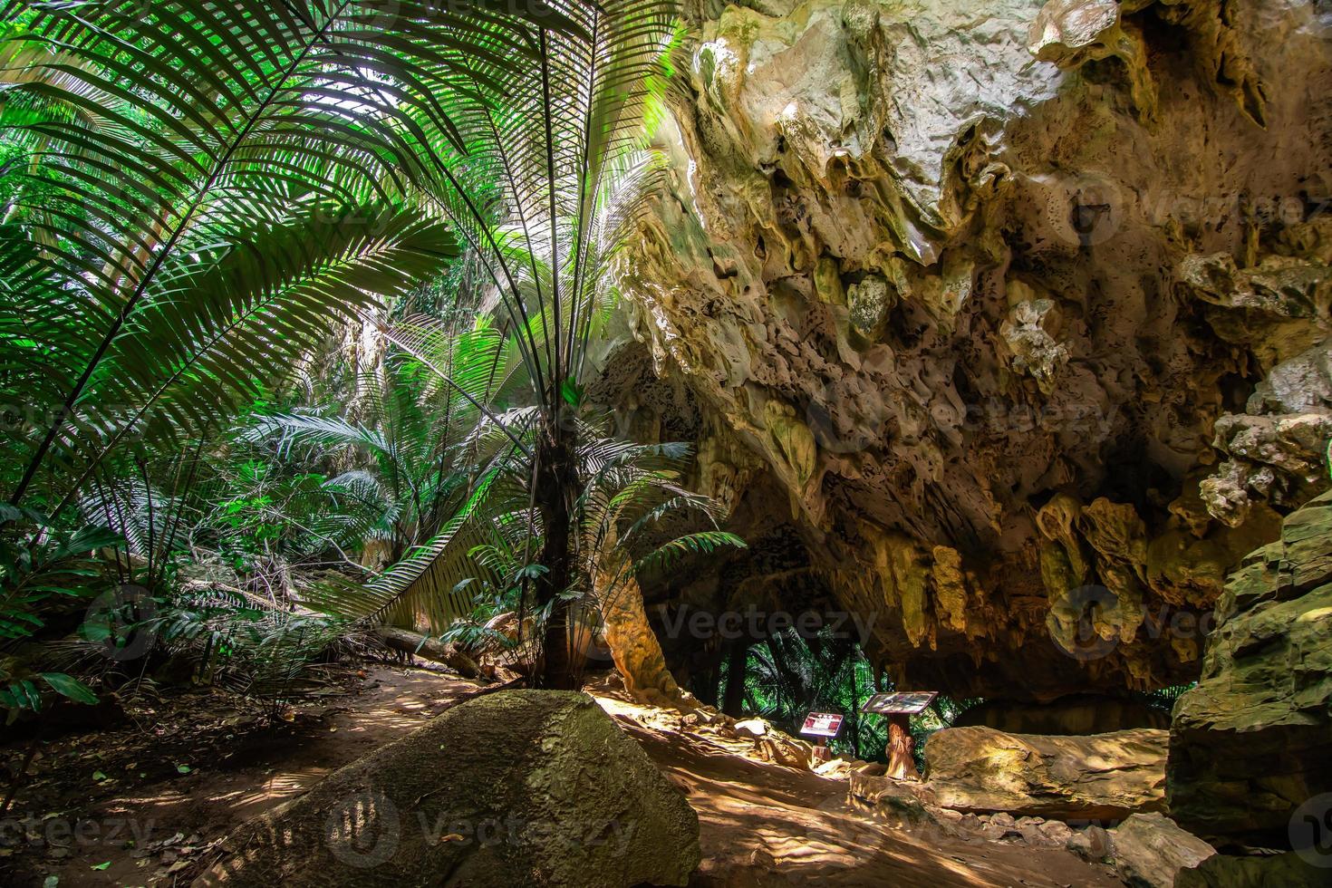 paisaje de cueva y árbol hup pa tat, uthai thani, tailandia foto