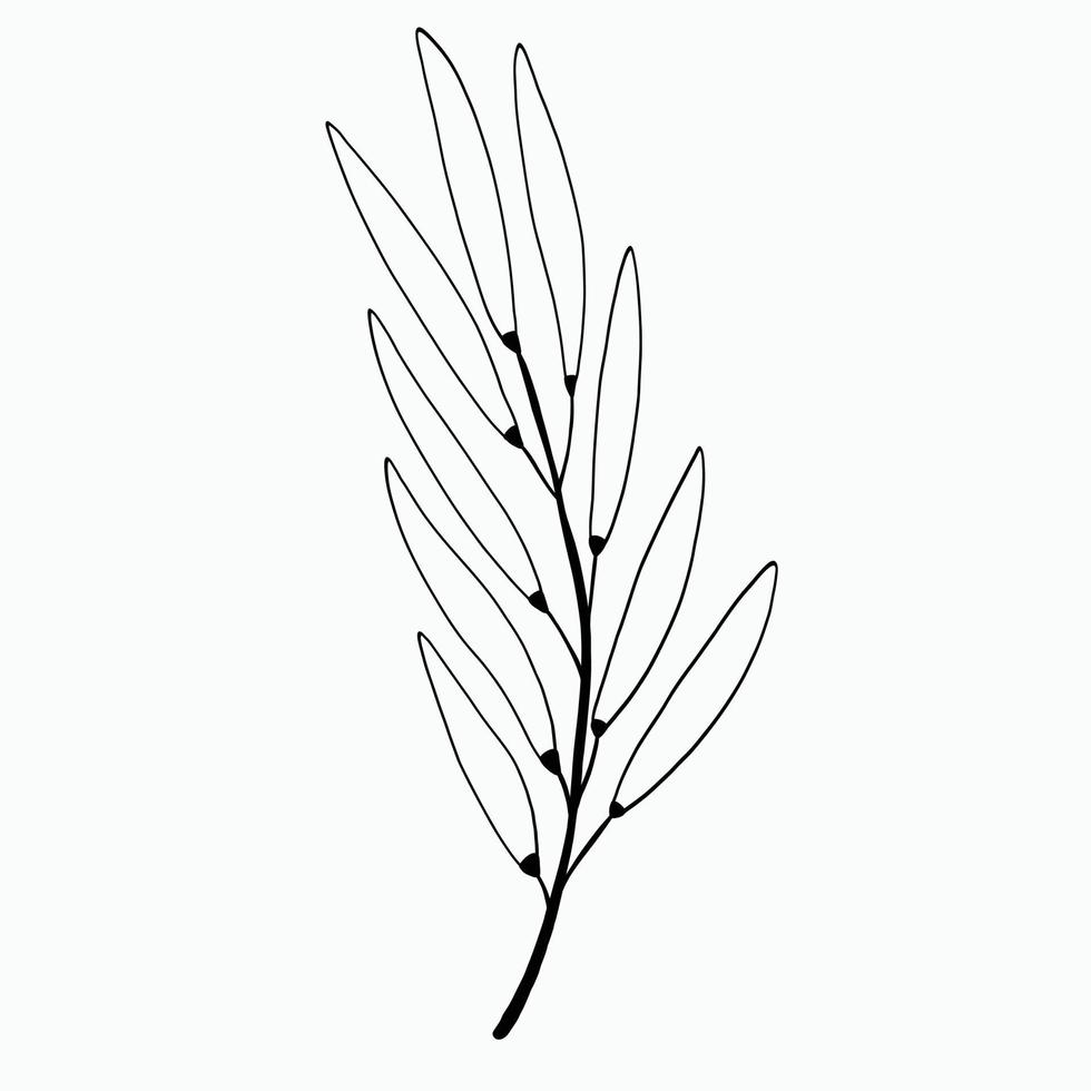 Simplicity floral freehand drawing flat design. vector