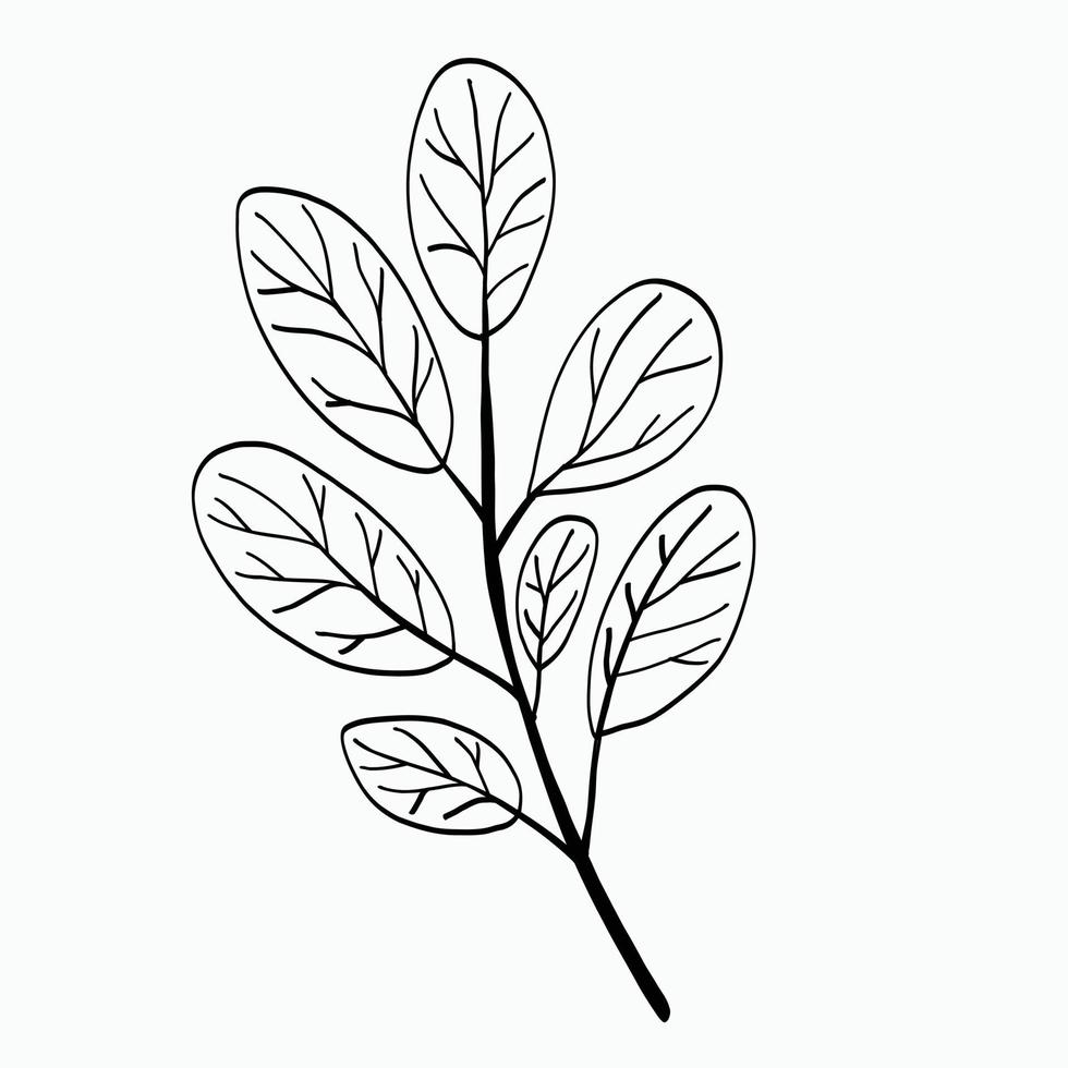 Simplicity floral freehand drawing flat design. vector