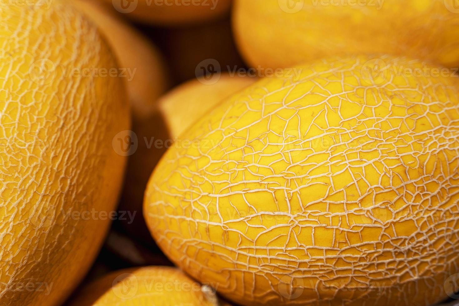 melones amarillos dulces en el mostrador del supermercado. vendiendo melones en la calle foto