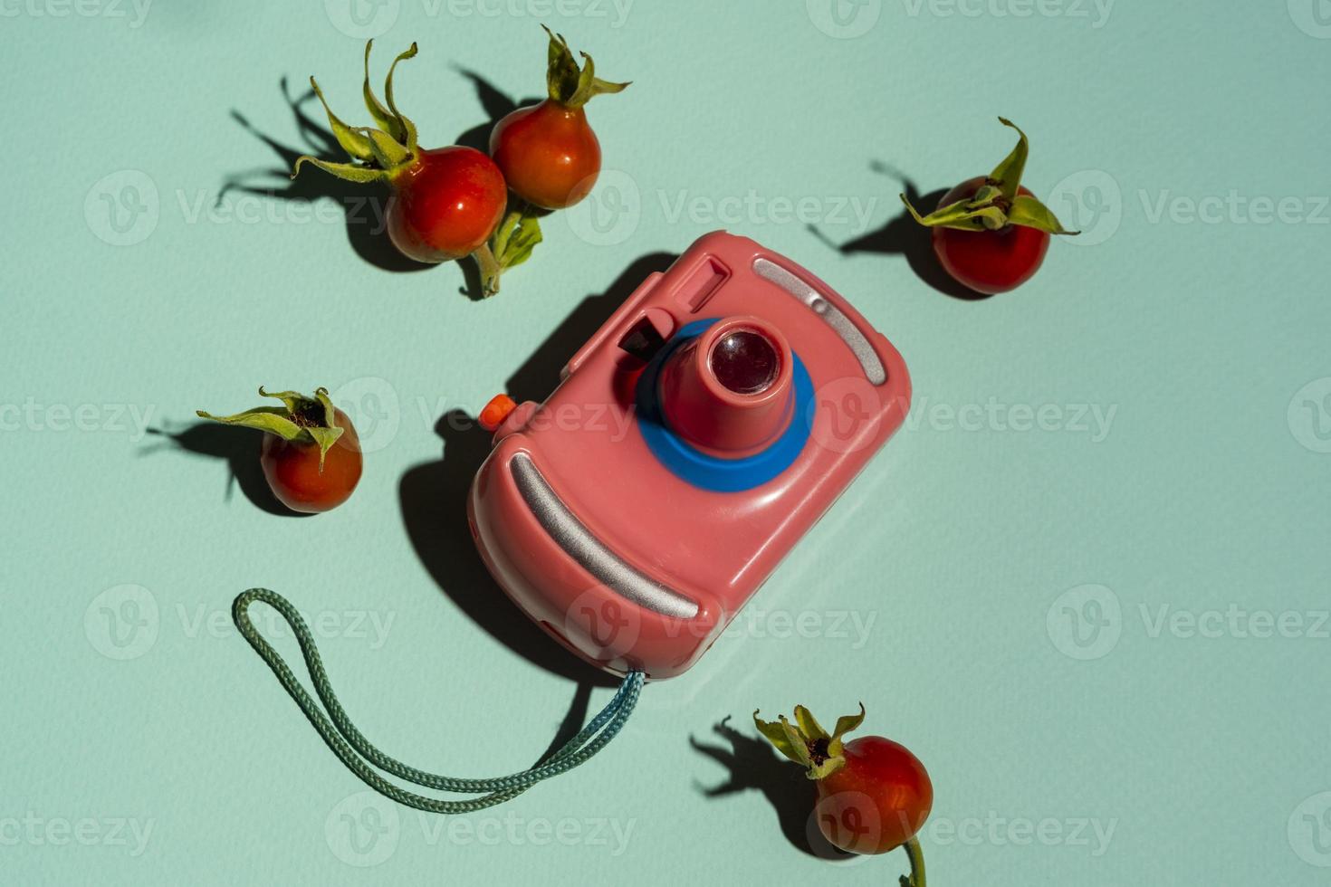 A children's toy camera and rosehip fruits on a turquoise background is a concept of minimalism. Creative composition photo