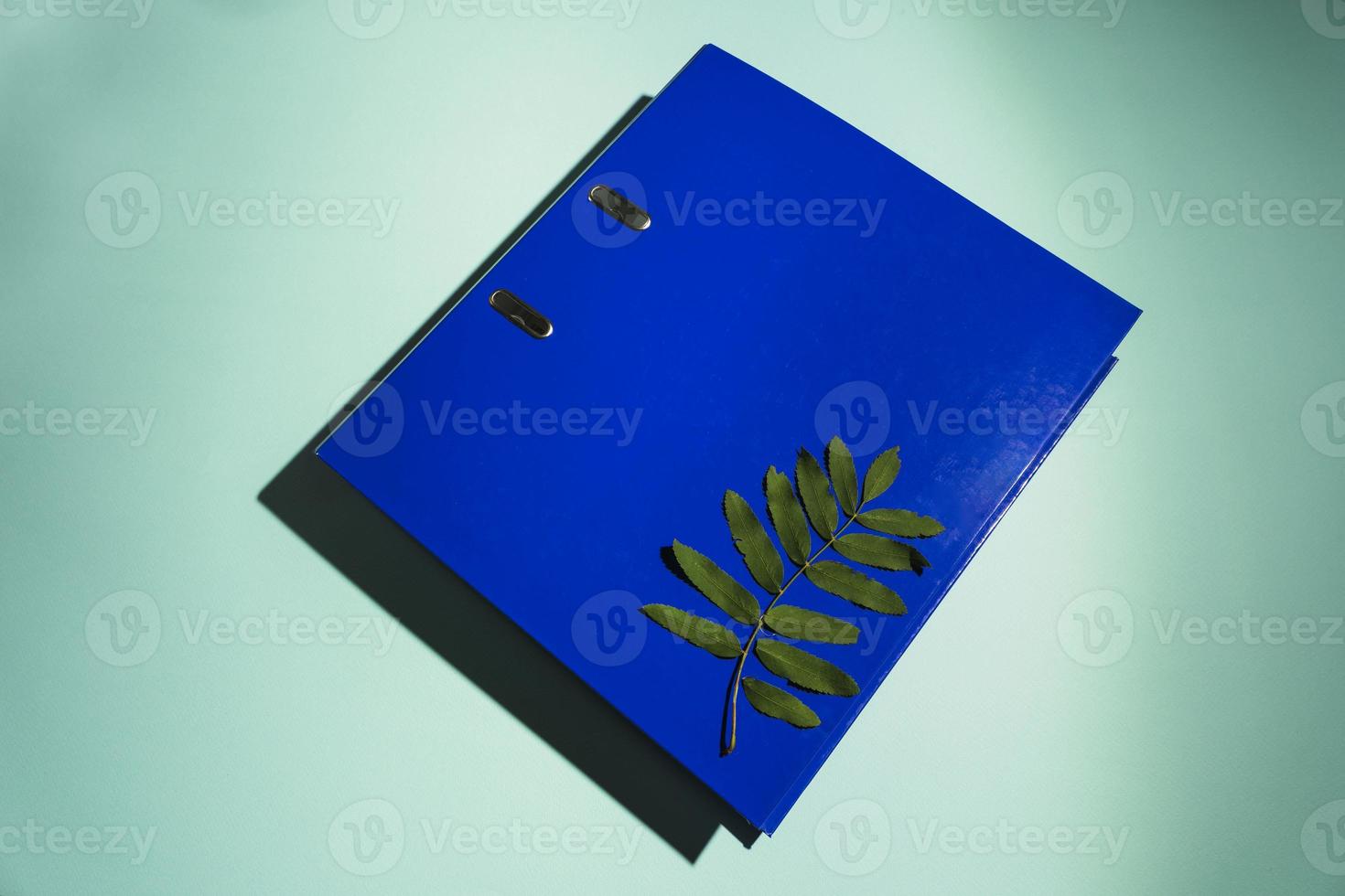 A blue folder with files on a turquoise background, rowan leaves photo