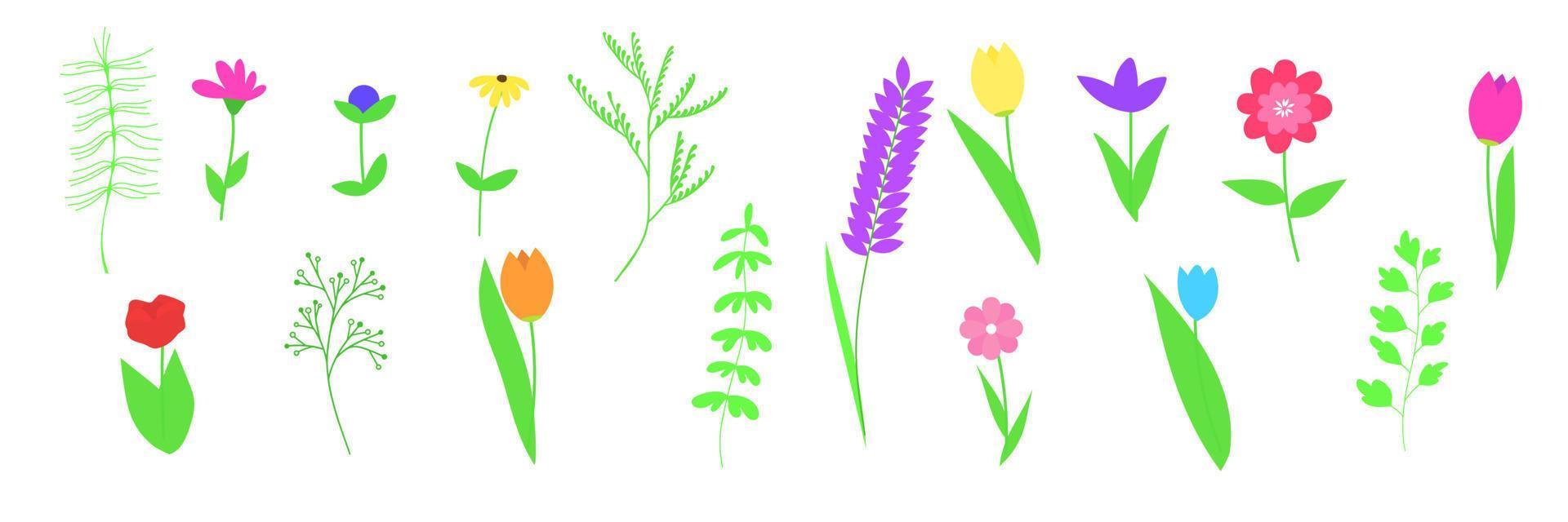 conjunto de flores de primavera y hojas para cualquier composición para el estandarte de verano o primavera. ilustración vectorial. vector