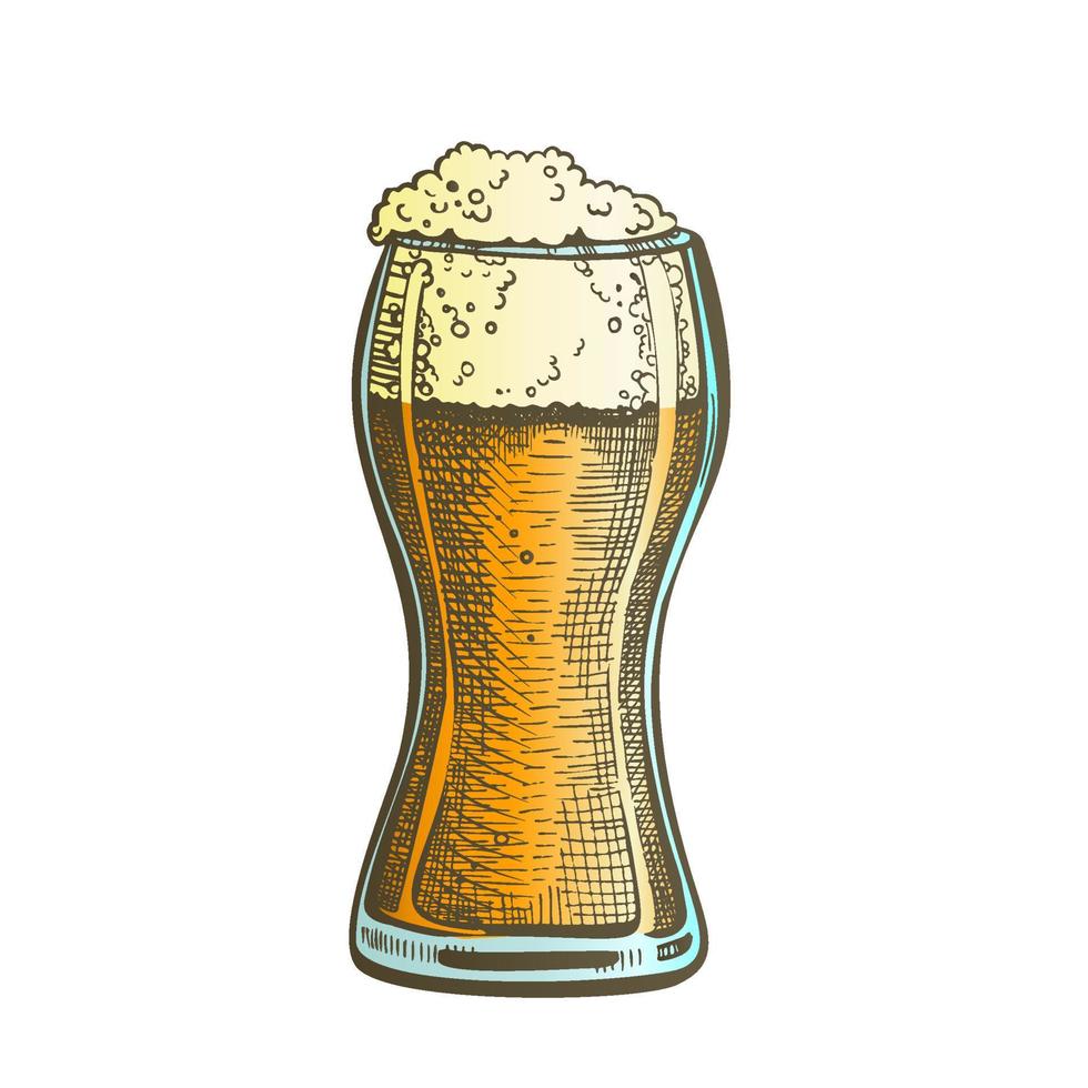 Drawn Standard Pub Glass Color Foam Beer Vector