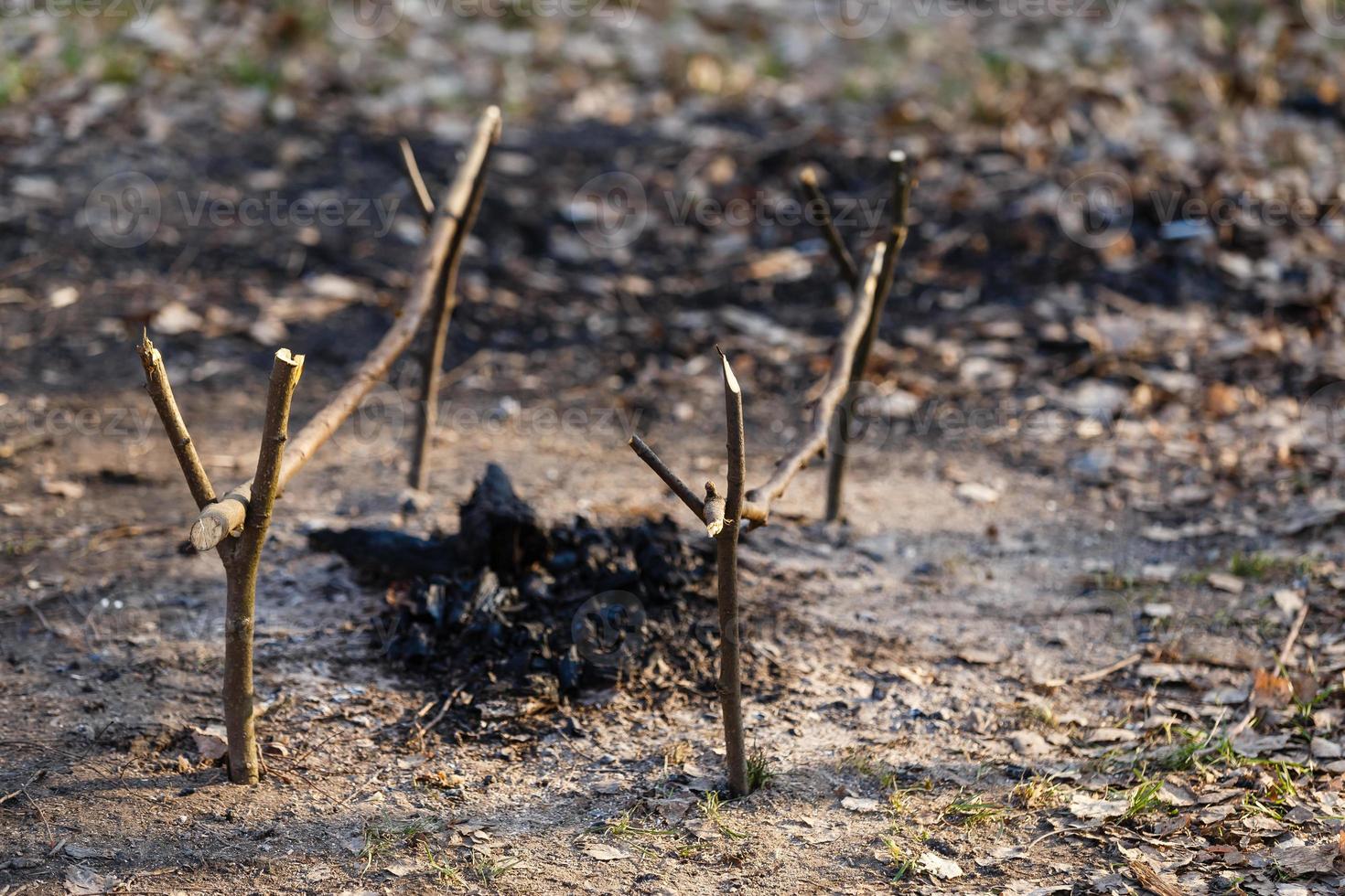 Firewood in the forest on earth burn. Fireplace for barbecue. Shish kebabs. View from above. photo