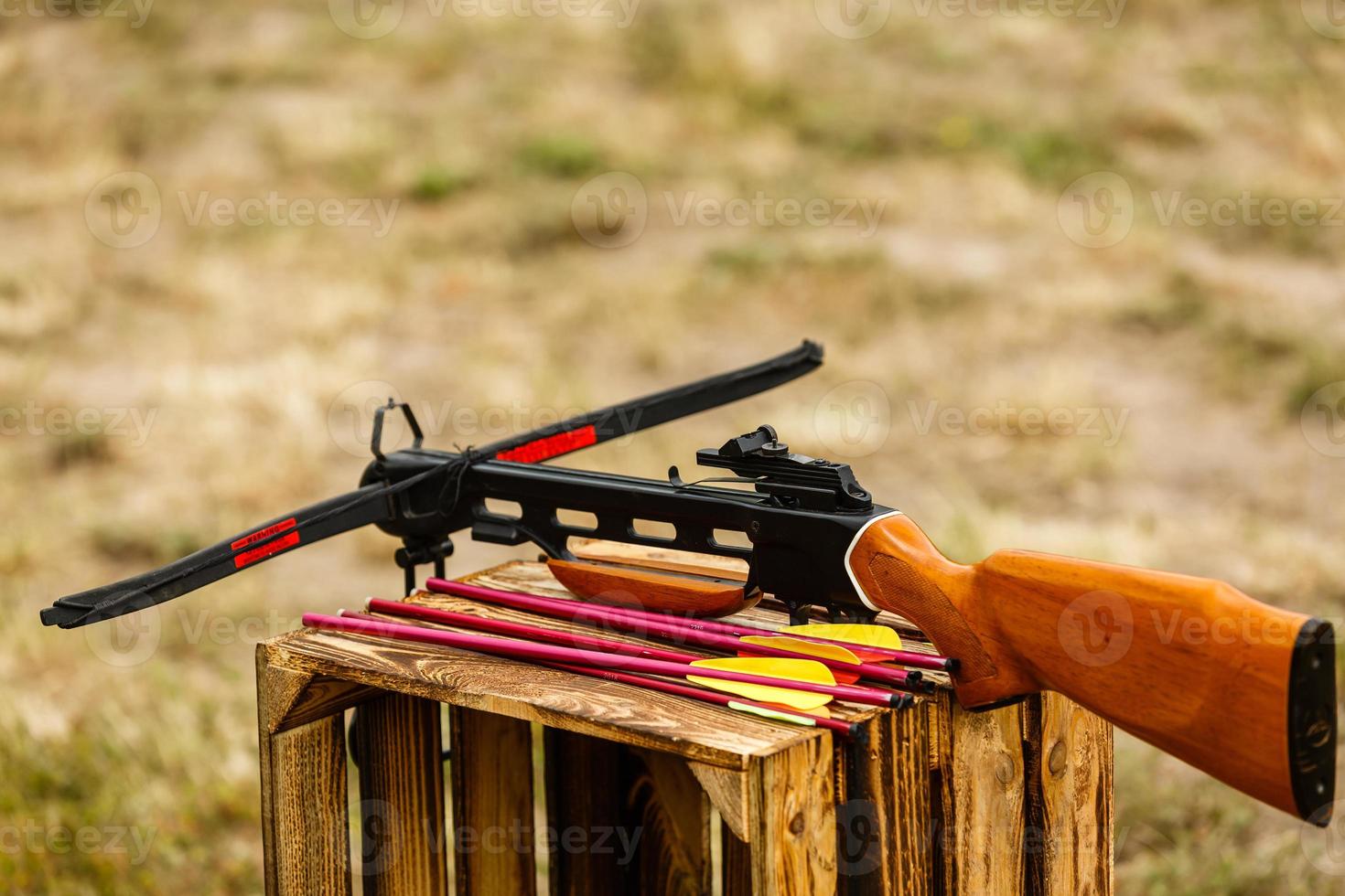 Target for archery and crossbow shooting photo