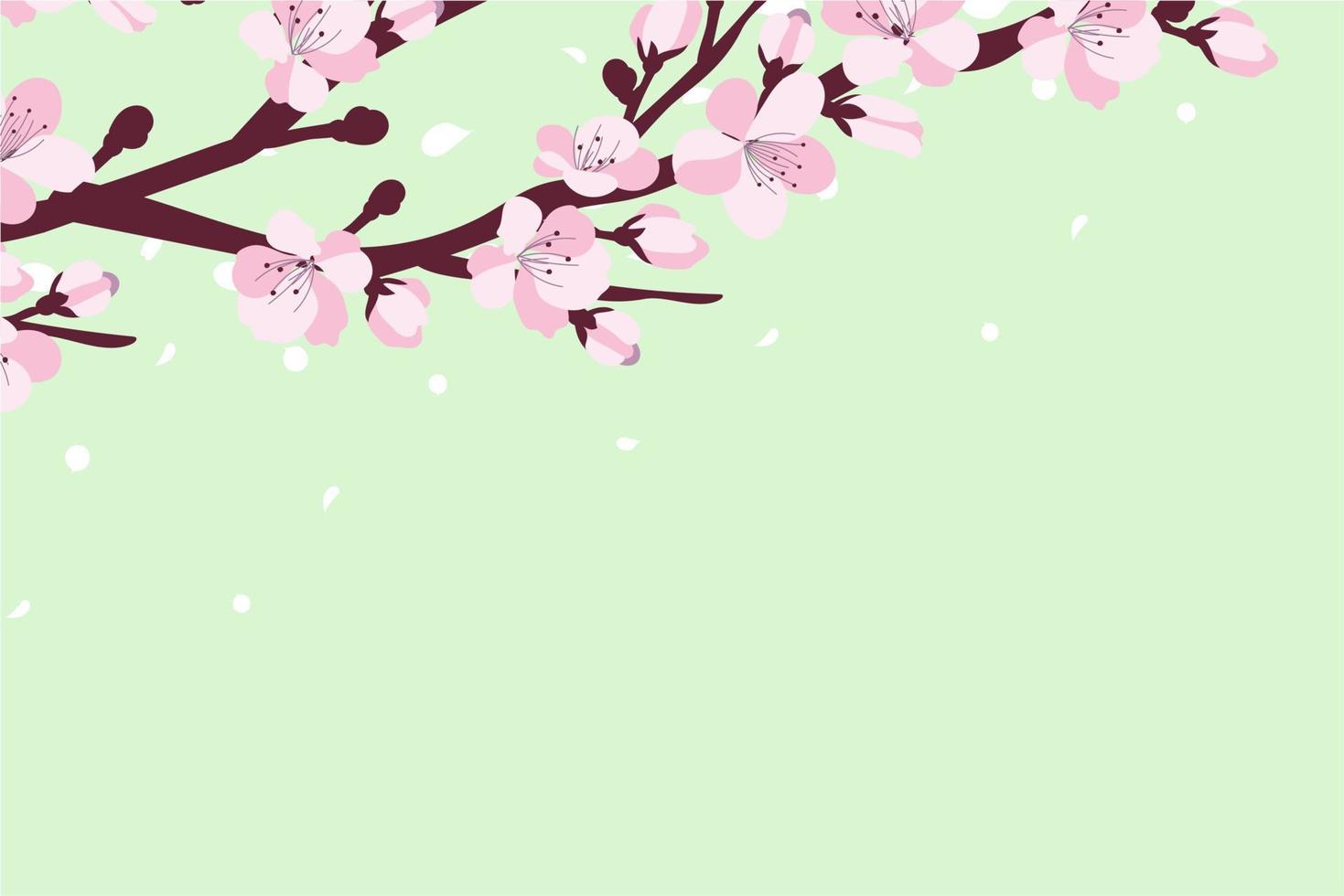 fondo con flor de cerezo. una rama con flores de cerezo aislada en un fondo blanco. sakura japonés. ilustración vectorial vector