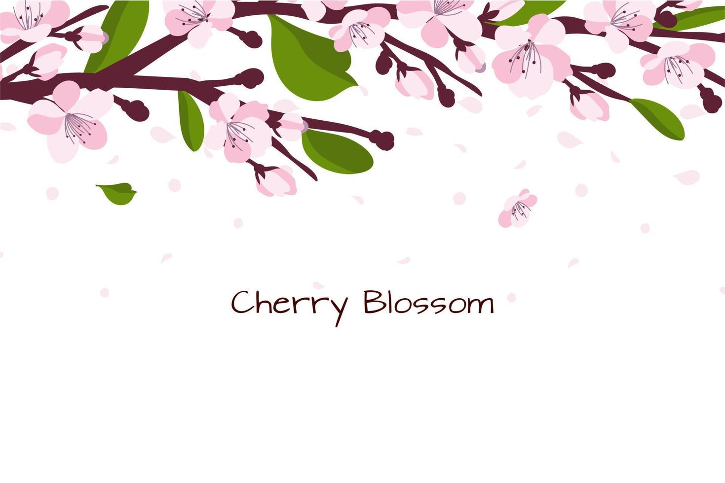 Background with cherry blossom. A branch with cherry blossoms isolated on a white background. Japanese sakura. Vector illustration