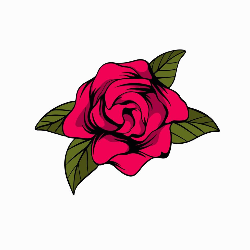 vector illustration rose with leaf isolated white background