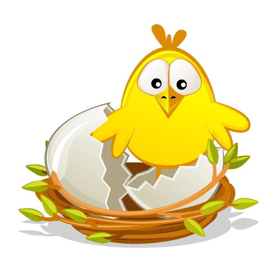 Isolated vector Newborn chicken in nest, Easter object